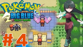 Pokemon Big Blue GBA #4 เลเวลน้อยตะลุย 2 ยิม !