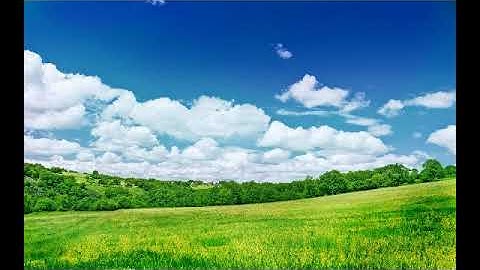 سورة ياسين بصوت القارئ داوود حمزة