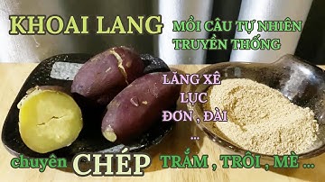 KHOAI LANG - BÀI MỒI CÂU CÁ TỰ NHIÊN (LĂNG XÊ - LỤC - ĐƠN ĐÀI...) :  CHUYÊN CHÉP - TRẮM TRÔI MÈ...