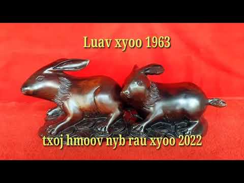 Video: Yuav Tso Li Cas Li Ntawm Lub Hauv Siab