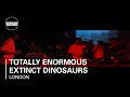 Totally Enormous Extinct Dinosaurs 35 min Boiler Room DJ Set