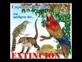 ¿POR QUÉ SE DA LA EXTINCIÓN DE LOS ANIMALES? 2° "A"