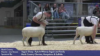 The 2024 Royal Sheep Show: Day 2