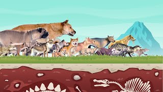 Dog Evolution | Dog Size Comparison: Living and Extinct by G's Data Lab 15,697 views 8 months ago 3 minutes, 22 seconds