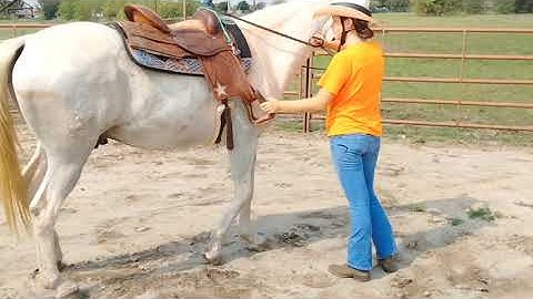 Groundwork exercises using the stirrups to translate to Buttons 1 and 3 When Riding -