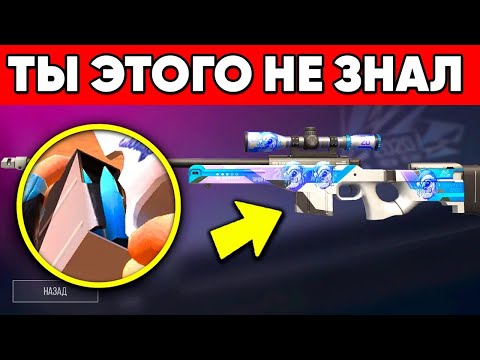 10 ФАКТОВ О