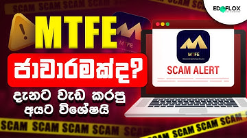 Unmasking MTFE: The AI-Powered Trading Platform Exposed as a Dangerous Pyramid Scheme