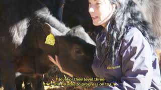 Landbouw aan het Writtle College