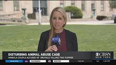 Husband And Wife Arrested For Animal Cruelty