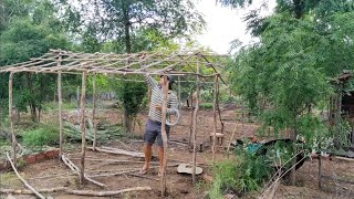 Building a small chicken coop (part 1)