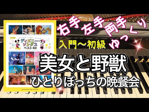 美女と野獣 ひとりぼっちの晩餐会/ ディズニー・ソングス ベスト40【ピアノ簡単】【ピアノ初心者】【譜読み用ゆっくり】【ピアノ独学】