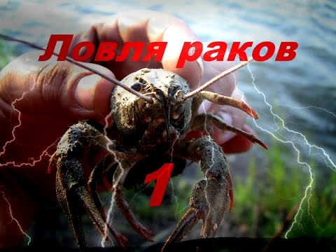 Ловля раков на раколовки