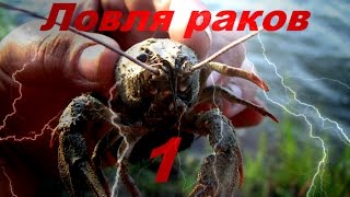 Ловля раков на раколовки(, 2013-09-25T17:20:02.000Z)