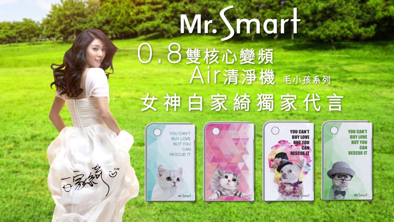 Mr Smart 0 8雙核心變頻air清淨機毛小孩聯名款 Youtube