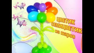 Ромашки из шаров. Как сделать. Мастер класс. Balloon daisies. Balloons. DIY. Hand made. How make