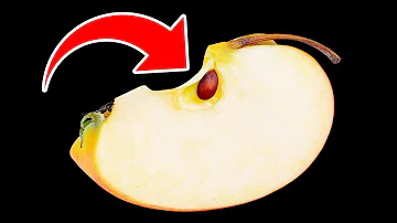 Come si usano i semi di chia per dimagrire?