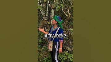 Những điều cấm kỵ khi vào rừng sâu Tây Bắc (phần 2)