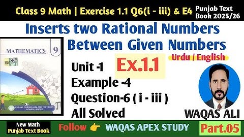 P.6) Insert Two Rational Numbers Between Given Numbers | Math 9th Class New Book | Ex-1.1 Q6 & E4 