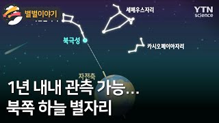 [별별이야기] 1년 내내 관측 가능…북쪽 하늘 별자리 / YTN 사이언스