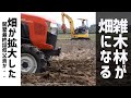 切り株を抜根して畑を整地する。渡邊庭園参戦で耕作放棄地が畑に再生する#2