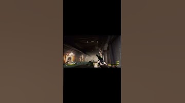 Bloodbugs Are A One Big Nope #fallout #fallout4