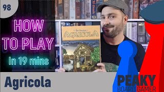 How to play Agricola board game - Full teach - Peaky Boardgamer