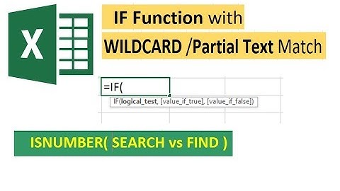 Excel Tutorial : IF Function with PARTIAL Text Match ( Wildcard problem solution )