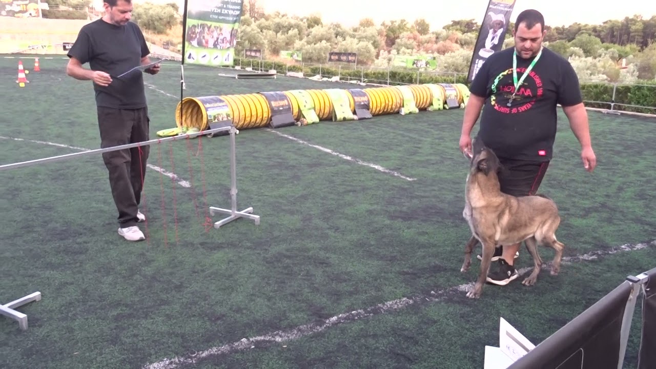 Annabelle Of Sabanis DTC Mondioring 1 22-8-2021