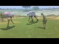 Tierra Del Sol Golf Club - YouTube