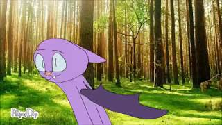 Identities Animation Meme