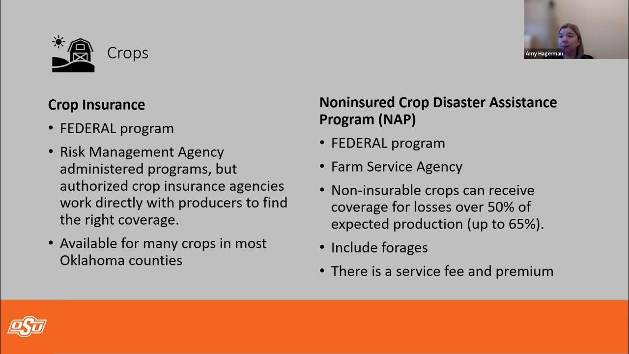 USDA Drought and Disaster Assistance Programs webinar 11122 YouTube USDA Drought and Disaster Assistance Programs webinar 11122 YouTube