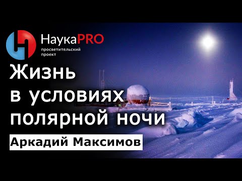 Видео: Жизнь в условиях полярной ночи в Антарктиде – Аркадий Максимов | Арктика и Антарктика | Научпоп