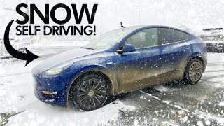 Tesla Self Driving V12 vs SNOW!