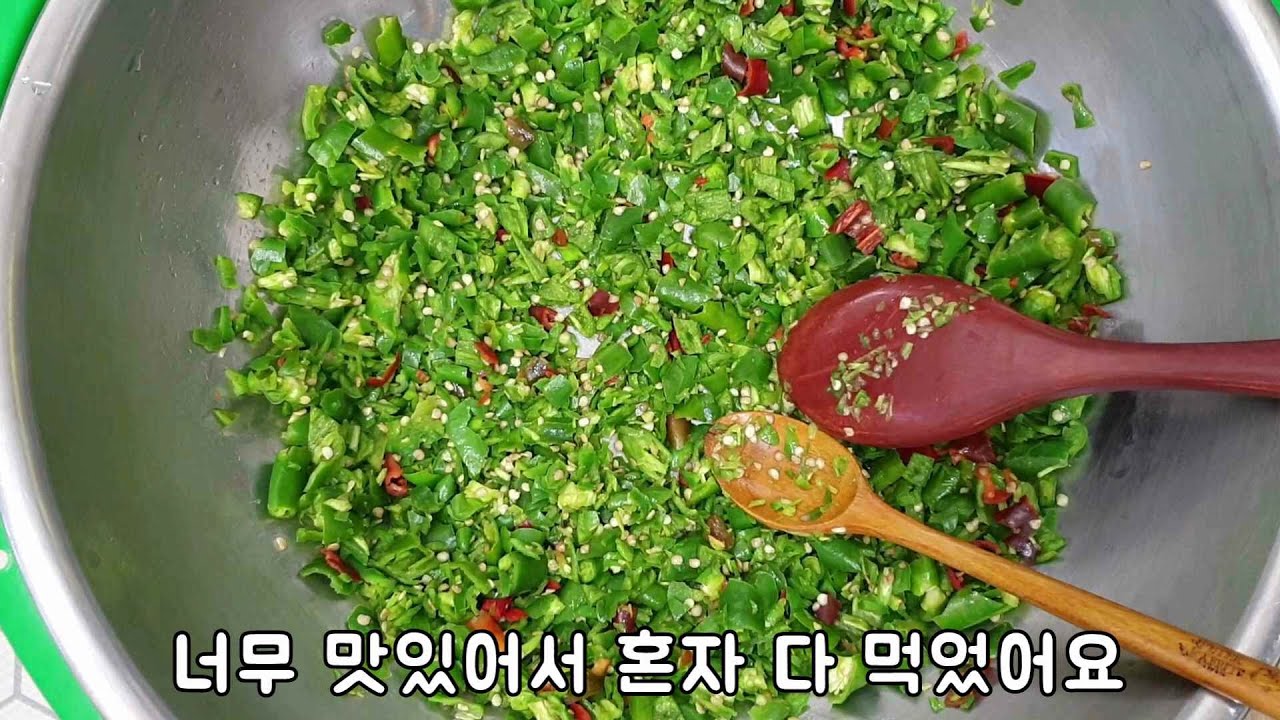 탄저병 없는 청양고추 구경하세요!! 복합내병계 청양고추 종자 공개~^^