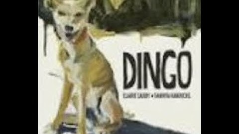 Dingo