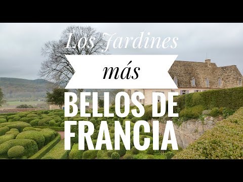 Video: Flor Asombrosa De Francia En Nuestros Jardines