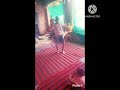 Village dance 2023 trending viral youtubeshorts pragya cute dailyvlog shortsstatus shorts