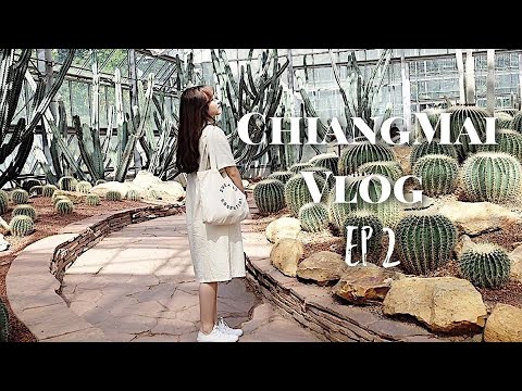 [ TRAVEL VLOG ] #2 Mình đã đi Botanic Garden và xem lễ hội thả đèn trời YeeFeng | ChiangMai Vlog