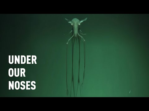 Scientists Believe an ALIEN Lifeform Could Live in Our Oceans