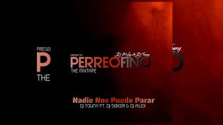 Nadie Nos Puede Parar Mix - DJ TOUNY  FT DJ SEIKER FT DJ ALEX (PERREO FINO THeMIXTAPE)