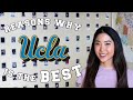 REASONS WHY UCLA IS THE BEST I Why you should choose UCLA!