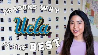 REASONS WHY UCLA IS THE BEST I Why you should choose UCLA!