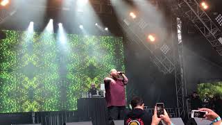 Action Bronson "Rolling Thunder" Live at Outside Lands 2017