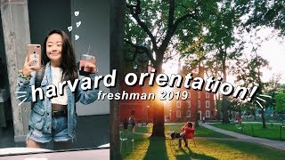 my college orientation! *messy* | harvard freshman 2019