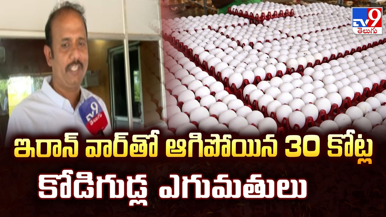 Middle East War Halts Indian Egg Exports | ఇరాన్ వార్ తో ఆగిపోయిన 30 కోట్ల కోడిగుడ్ల ఎగుమతులు  - TV9