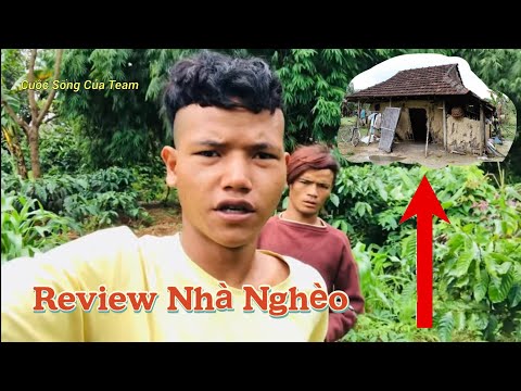 Video: Nhà Y