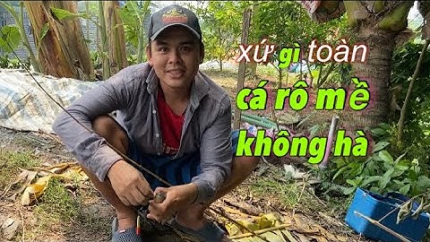 Câu cá rô đồng, liên tục lên hàng khủng như gì thì ai chịu cho nổi | miền quê Tiền Giang