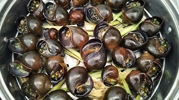 Ốc Bươu Hấp Tiêu Xanh Cách Này Rất Thơm Ngon #