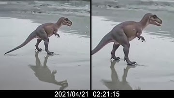 60 Believed to Be Extinct Animals and Creatures Caught ALIVE on Camera!