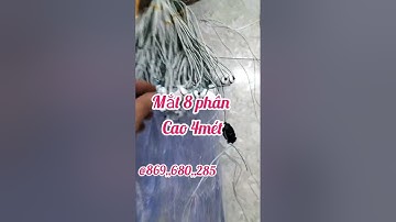 Lưới đánh cá phi cá mè vinh cá chép - Lưới Cá 3 màn đánh ao sông Hồ đầm ruộng